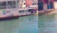 Venedik'te Turistler Gülerken ve Video Çekerken Boğularak Can Veren Afrikalı Mülteci