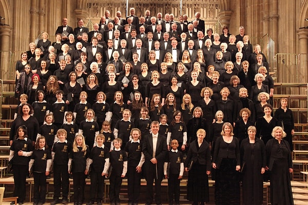 15. Недавнее исследование шведских исследователей показало, что во время пения хора ритмы сердец всех участников синхронизируются.