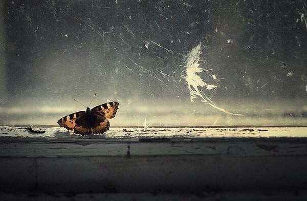 4. Не было ещё ни одного великого ума без примеси безумства.