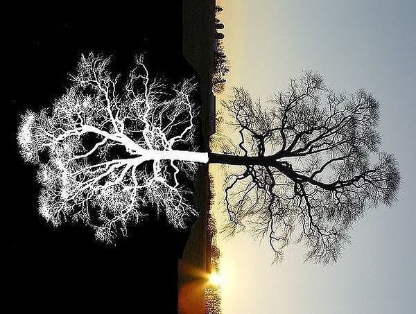 7. Нельзя дружить только с солнечной стороной человека.