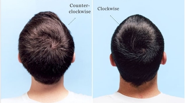 4. According to a study done by Dr. Amar J.S. Klar, 21.4% of homosexual men’s hair run counter-clockwise.