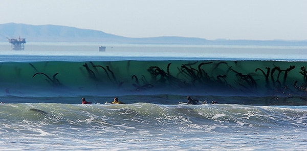 2. Водоросли в волне