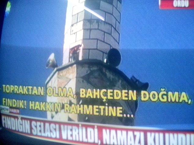 Mekanın cennet olsun fındık kardeş. 🌰