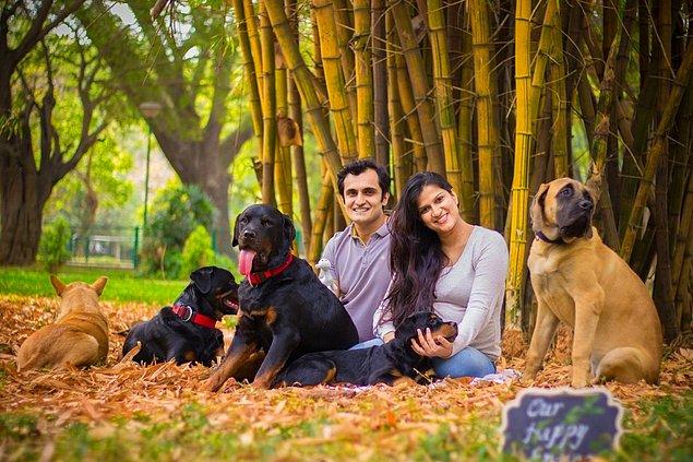 1. Bengaluru'lu Aditya Raheja ve Sanjana Madappa ile tanışmaya hazır mısınız? Bir de ailelerindeki birçok sevimli köpekle tabii ki.
