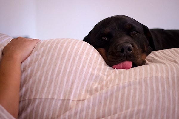 9. "Моя беременность протекала очень тяжело, и я редко покидала дом"