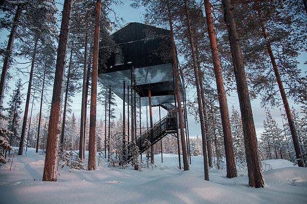 Расположенный в северной части Швеции "Treehotel" (Отель на дереве) представляет собой концептуальный отель, построенный на семи деревьях.