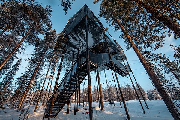 Надеемся, и вы сможете посетить "Treehotel".❤️