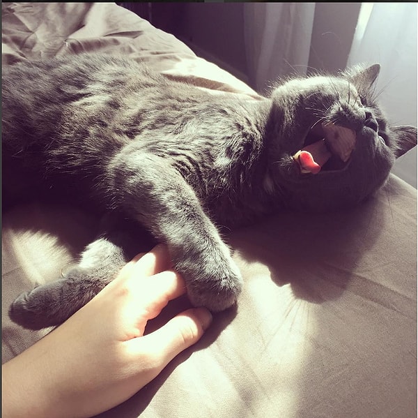 5. Кевин обожает обниматься и играть в своем "секретном месте".