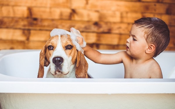 9. Общение с животными помогает бороться с одиночеством