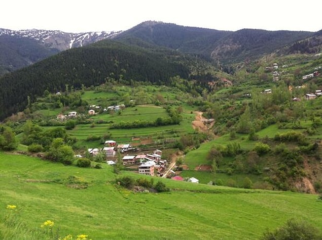 6. Karadeniz yüzlerce yaylasından keşfedilmesi yakın olanı: Zigana Köyü / Gümüşhane