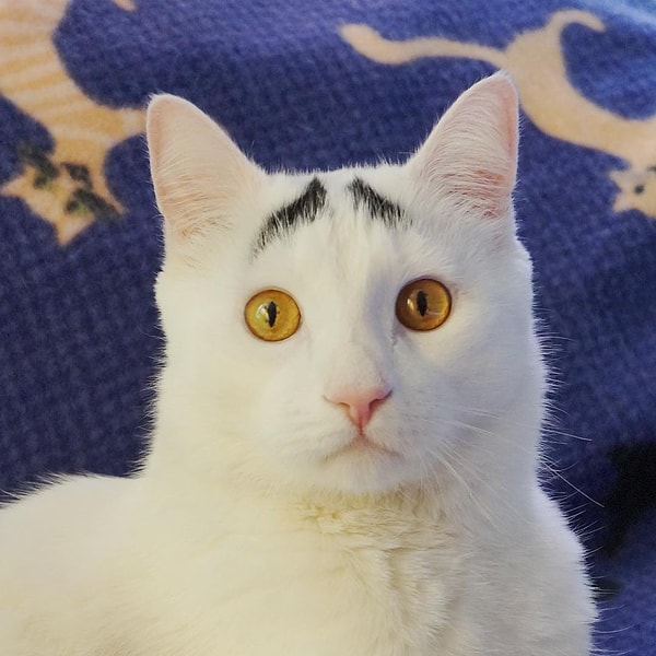 18. Сэм (Sam) - 221 тыс. подписчиков