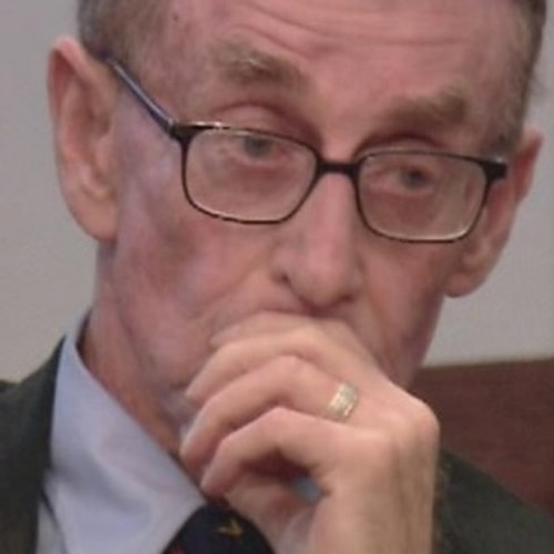 Yazar Michael Peterson'ın eşi, Kathleen, bir baykuş tarafından öldürüldü.