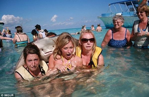 18. Belki de aralarındaki en meşhuru. Sarah Bourland, Natalie Zaysoff ve Kendall Harlanin Cayman Adaları'nda yaptıkları tatilde bir vatoz tarafından beklenmedik bir kucaklama aldıklarında.