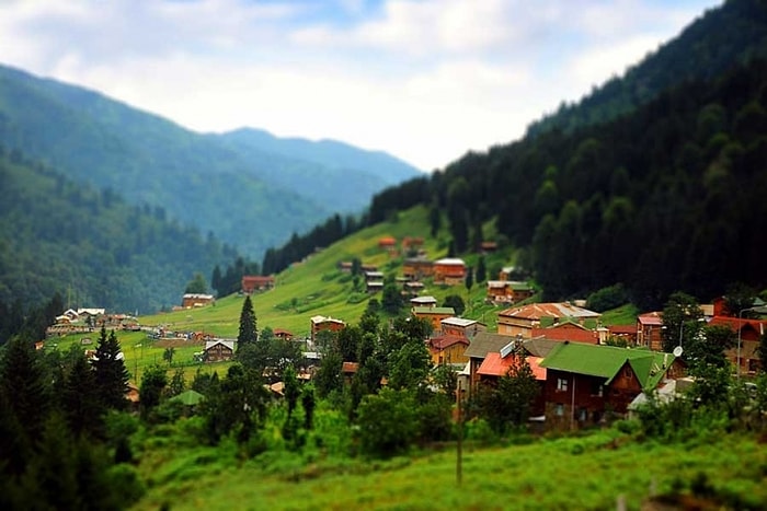 Acı Kaybımız! TOKİ İhale İçin Gün Verdi, Ayder Yaylası İmara Açılıyor...