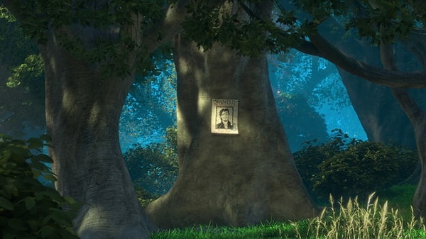 9. Почему разыскивали Флина Райдера?