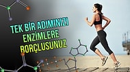 14 Maddede Bizim İçin Yıllarca Çalışan Görünmez Kahramanlar: Enzimler