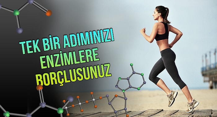 14 Maddede Bizim İçin Yıllarca Çalışan Görünmez Kahramanlar: Enzimler