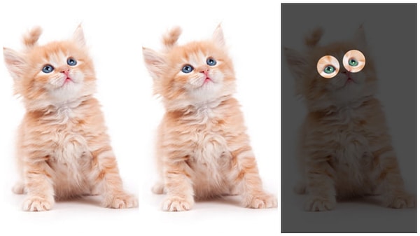 Показать правильный ответ