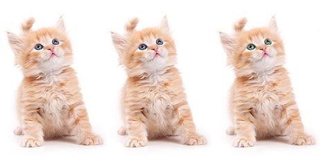 Только очень внимательный человек способен увидеть отличия на этих картинках (Часть-4)