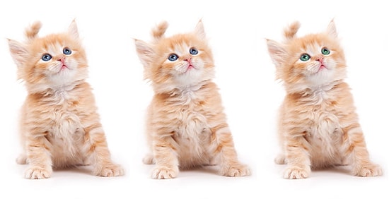 Только очень внимательный человек способен увидеть отличия на этих картинках (Часть-4)