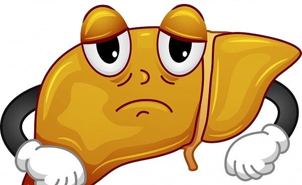 2. Если в цифрах, то вес кожи человека - 10 886 грамм, а вес печени - 1 560 грамм