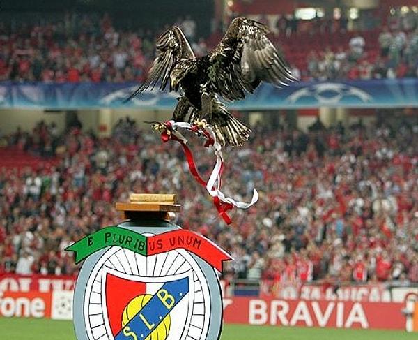 3. Benfica - As Águias (Kartallar)
