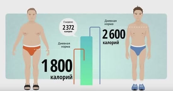 Доходчиво о правильном питании для сжигания жира и набора мышечной массы
