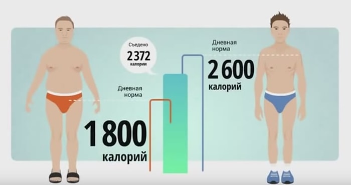 Доходчиво о правильном питании для сжигания жира и набора мышечной массы