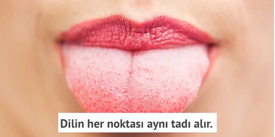 Muhtemelen Yanlış Bildiğiniz 17 Bilimsel Gerçek