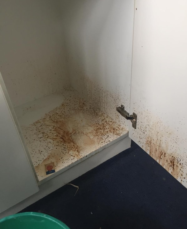 10. Отмывать загадочное содержимое шкафчиков в классе: