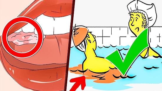 15 вещей, о которых нам врали родители