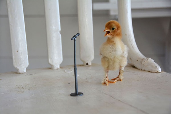 9. Большой приз - 12-летняя Кейт Андерсон