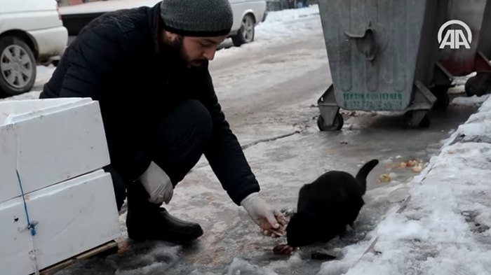 Her Gün 200 Kediyi Doyuran Öğrenci