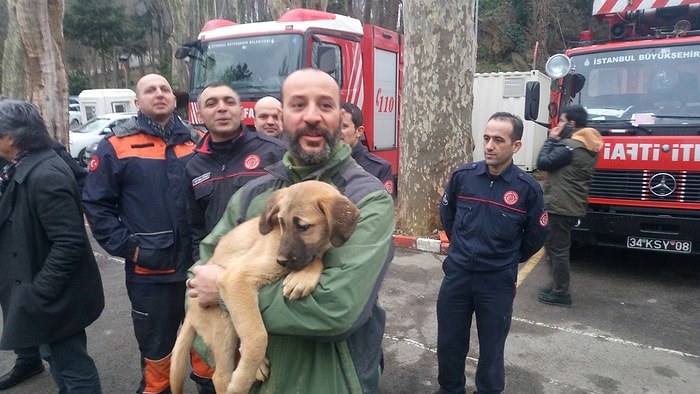 Günün En Güzel Haberi: Sondaj Kuyusuna Düşen Köpek, Günler Süren Çabaların Ardından Kurtarıldı!