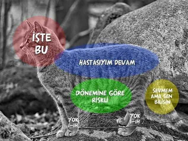 Neresini sevince daha çok hoşuna gittiğini keşfetmek
