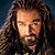 thorin-oakenshield