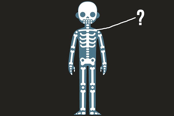 6. Что это за кость?