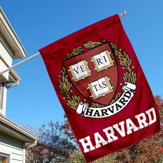 Sen Harvard'da çalışmalısın!