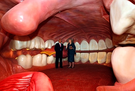 Если вы не сможете набрать 10/10 в этом тесте на знание своего тела, то... зачем вам вообще тело?