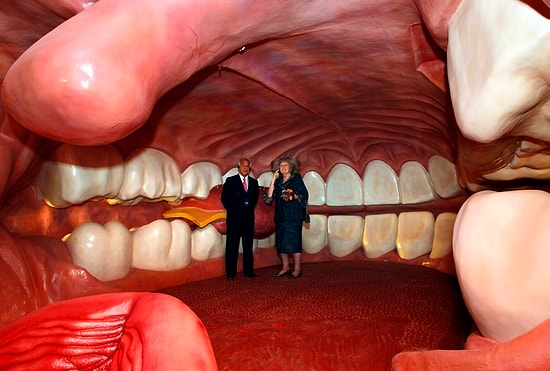 Если вы не сможете набрать 10/10 в этом тесте на знание своего тела, то... зачем вам вообще тело?