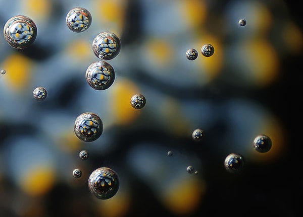 6. Водные пузыри