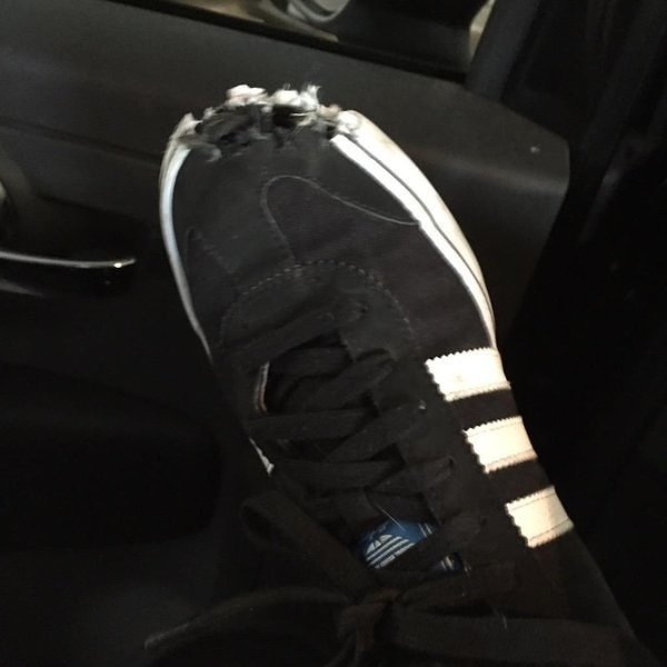 14. Пожевал и выплюнул