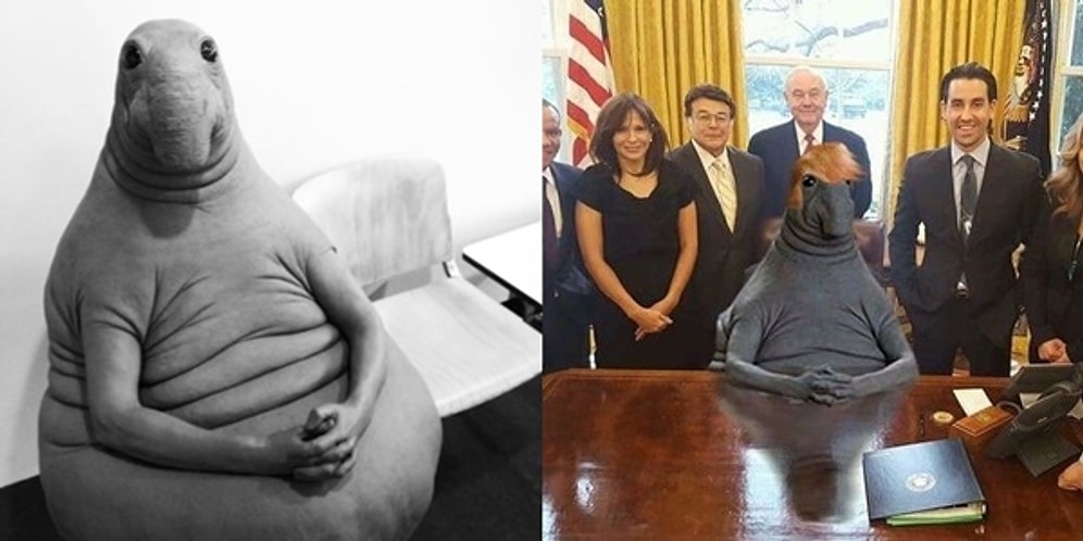 Sebepsiz Yere Rus Sosyal Medyasının Odağı Haline Gelen Gri Balonumsu Heykel