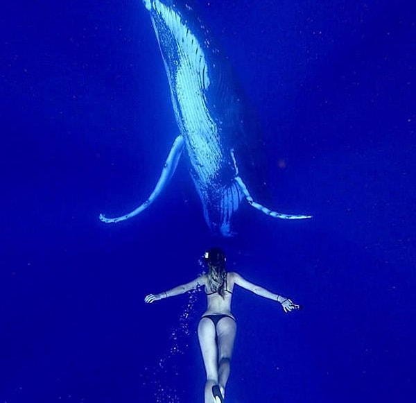 5. Путешествуя, она делает такие фото, встретить которые можно нечасто: Сара позирует с различными животными, и ей не занимать смелости в этом!