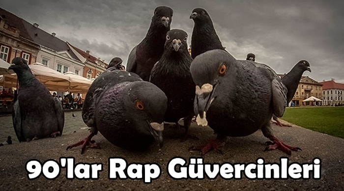 Yılın En Okkalı Albümlerini Çıkaracak Gibi Poz Veren Hayvanlardan 23 Muhteşem Kare