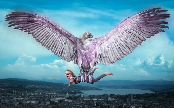 11. А мне летать охота!