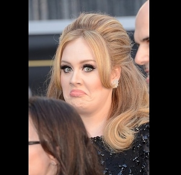 13. Адель боится чаек