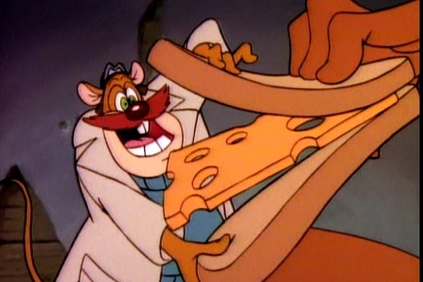 8. А этого грызуна ты, конечно же, видел в...?