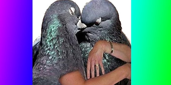 Son Zamanlarda Sosyal Medyada Dolaşan Biraz Sayko Biraz Anlamsız 15 Fotoğraf