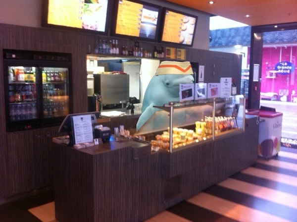 6. Кит на своей дневной работе...